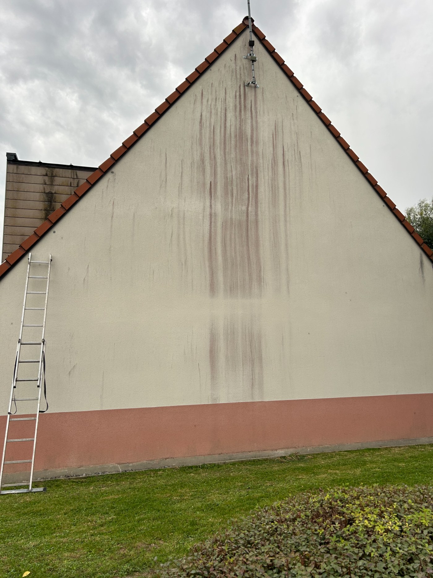 Façade avec coulures avant démoussage
